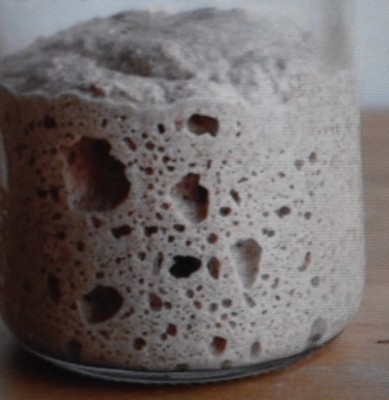 WHARF-SAN FRANCISCO-SOUR DOUGH STARTER yeast plus recipes