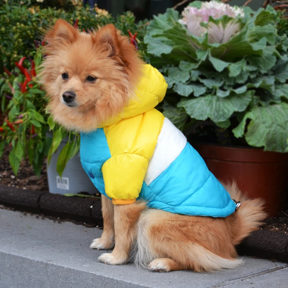 Small Dog Winter Yellow and Blue Waterproof Jacket With Hood / Dog Jacket - Image 2 of 4