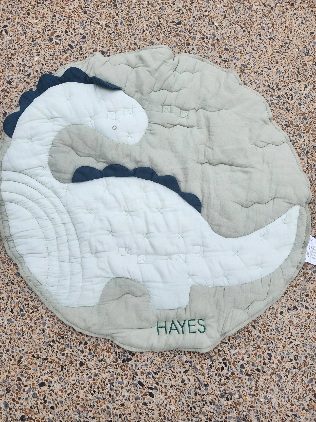 Pottery Barn Kids Round Playmat Dino Green NEW Mono:Hayes Folds Up For Travel