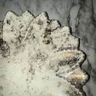 Foto 5 di 11