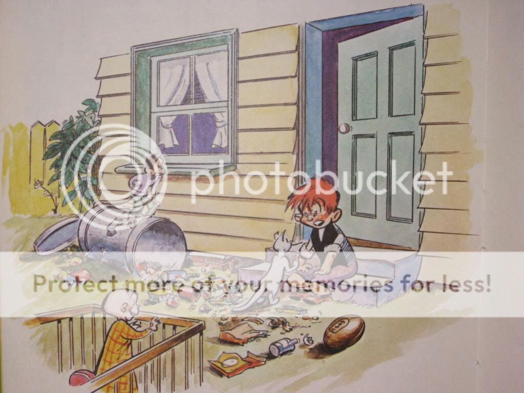 Picture 6 of 8
