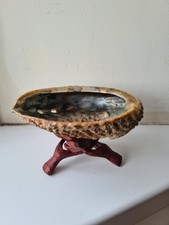 Abalone Shell On Three Footed Wood Stand Made In India Mother of Pearl Vintage