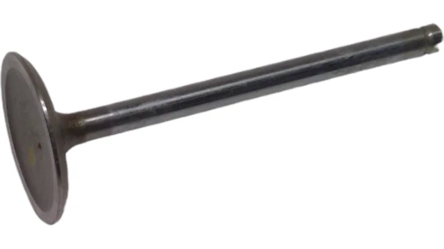 Подлинный впускной клапан двигателя GM 12568411 - Изображение 2 из 4