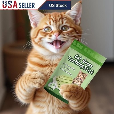 Edible Cat Grass Teething Sticks Hairball Control Nutritional Treats For Cats US