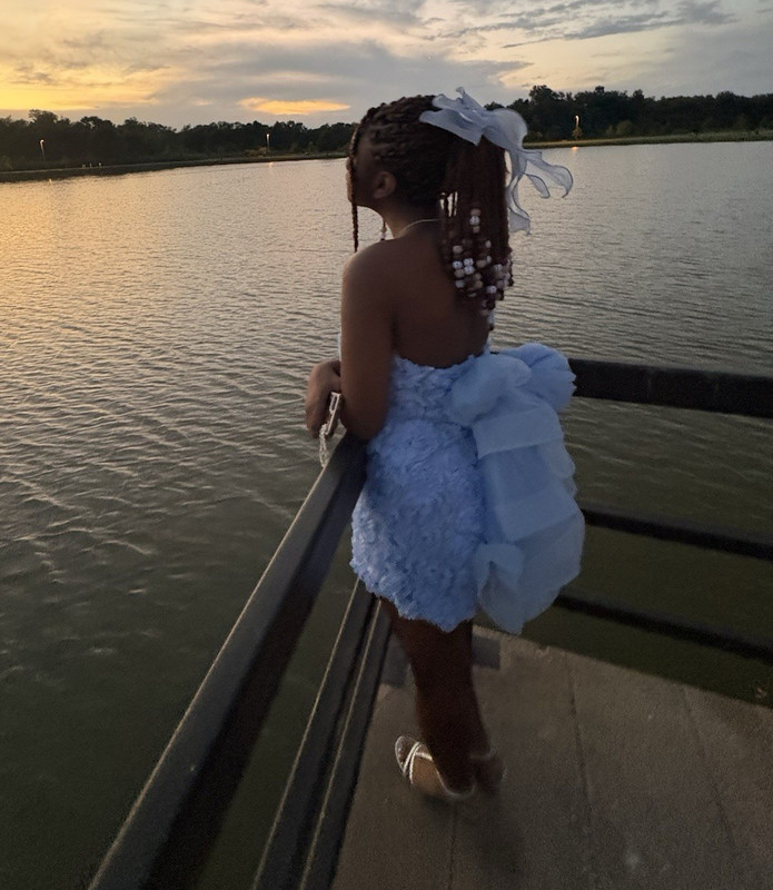 PMD Girls L Lavender Strapless Floral Tulle Tutu Dress Short Party Bow