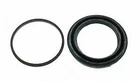 Carlson 41100 Disc Brake Caliper Repair Kit-Rear Disc (S1BE28)