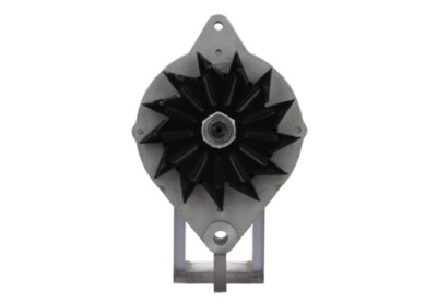 Lichtmaschine passt für Ford 51A ersetzt 595999051 8791 DJL10346A 110448 110490 
