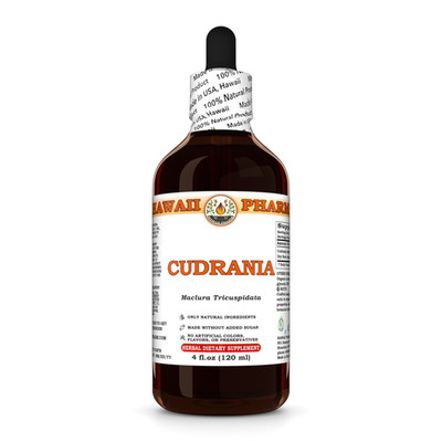 Cudrania / Chuan Po Shi (Maclura Tricuspidata) Dried Root Liquid Herbal Extract