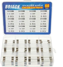 BOJACK 12 Values 60 Pcs Slow Blow Glass Fuses Assortment Kit 6x30 mm 250V T... 