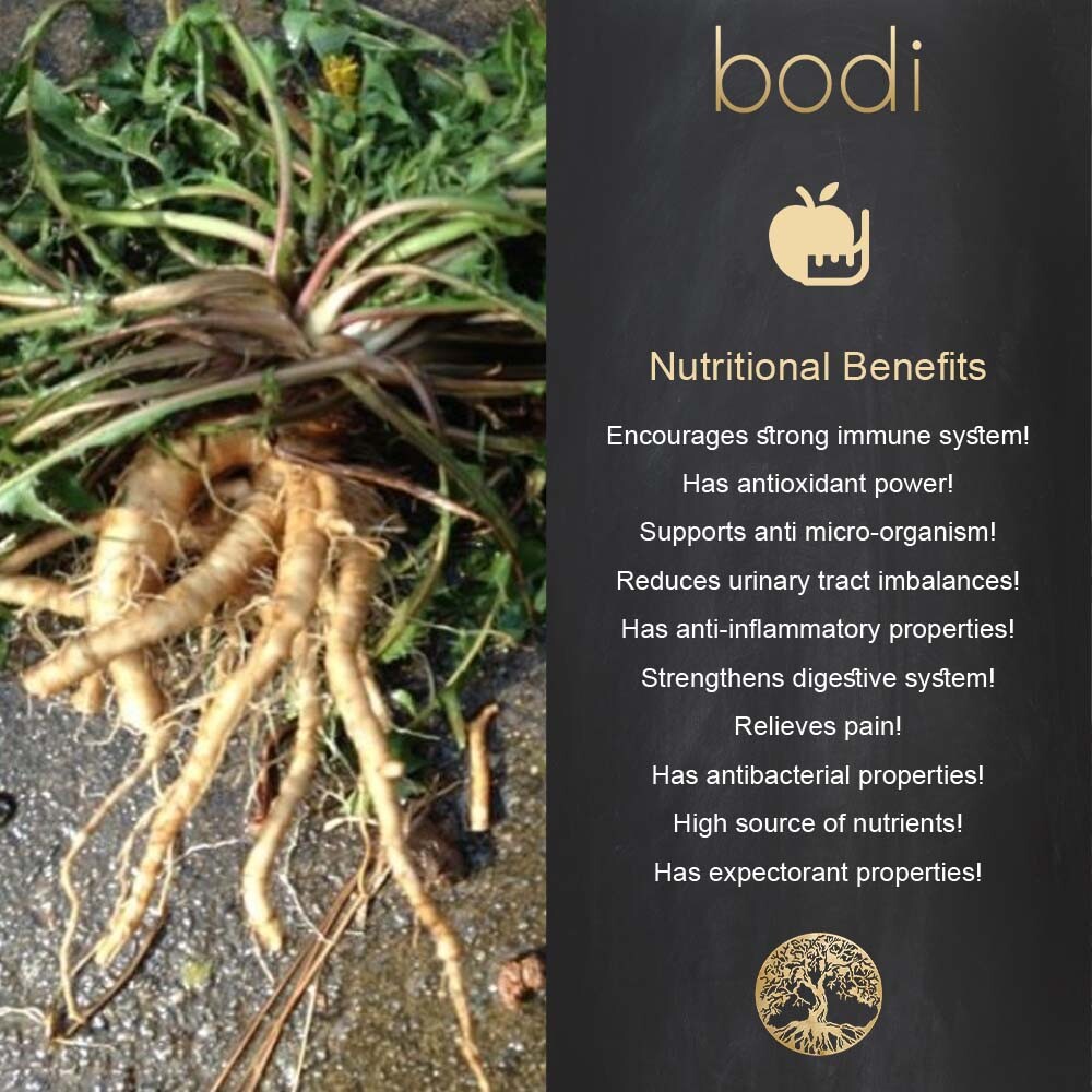 Horseradish Root Powder 5.5oz to 5lb 100 Pure Natural Hand Crafted