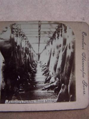 Stereoskop Foto Stereo Ansicht Armour's Packing House Chicago