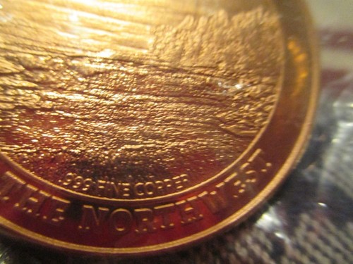 Souvenir token coin Fergus Falls Minnesota 150th Anniversary .999 Copper RARE! - Picture 5 of 5