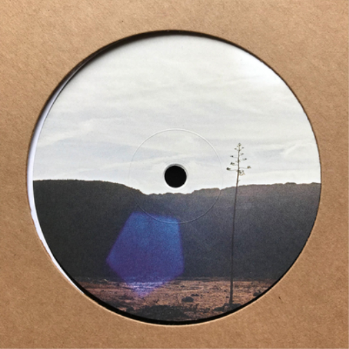Jakob Seidensticker After We're All Gone EP (Vinyl LP) 12" EP