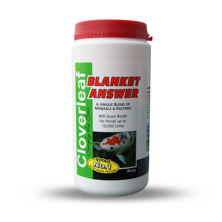 Cloverleaf Blanket Answer Kills Blanketweed Fast 200g500g800g2kg4kg
