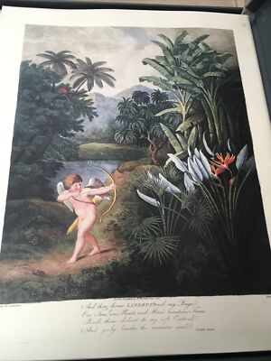The Temple Of Flora” Botanical Prints Robert John Thornton The