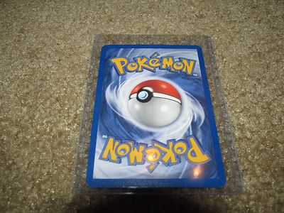 ハクナマタタ様2