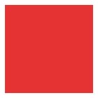 Red Paper Studio Background