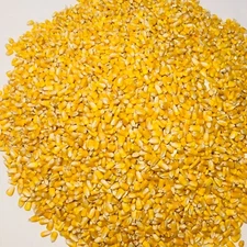  Whole Kernel Corn Animal Wildlife Feed Arts & Crafts 10 Lbs