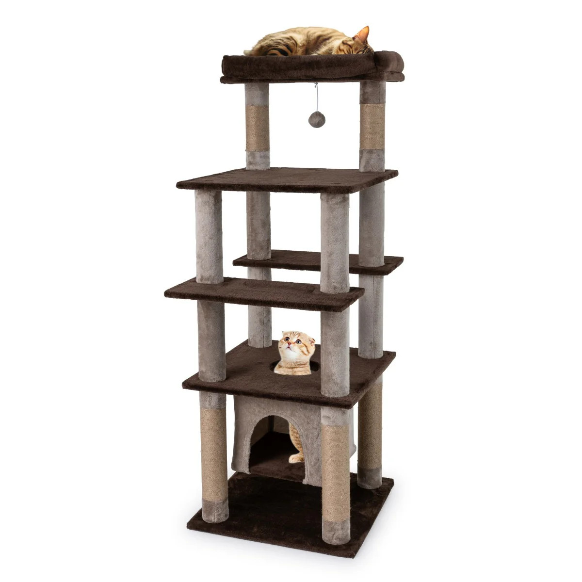 Arbre à chat multi-niveaux design 56x56 cm avec niche et perchoir pour salon moderne