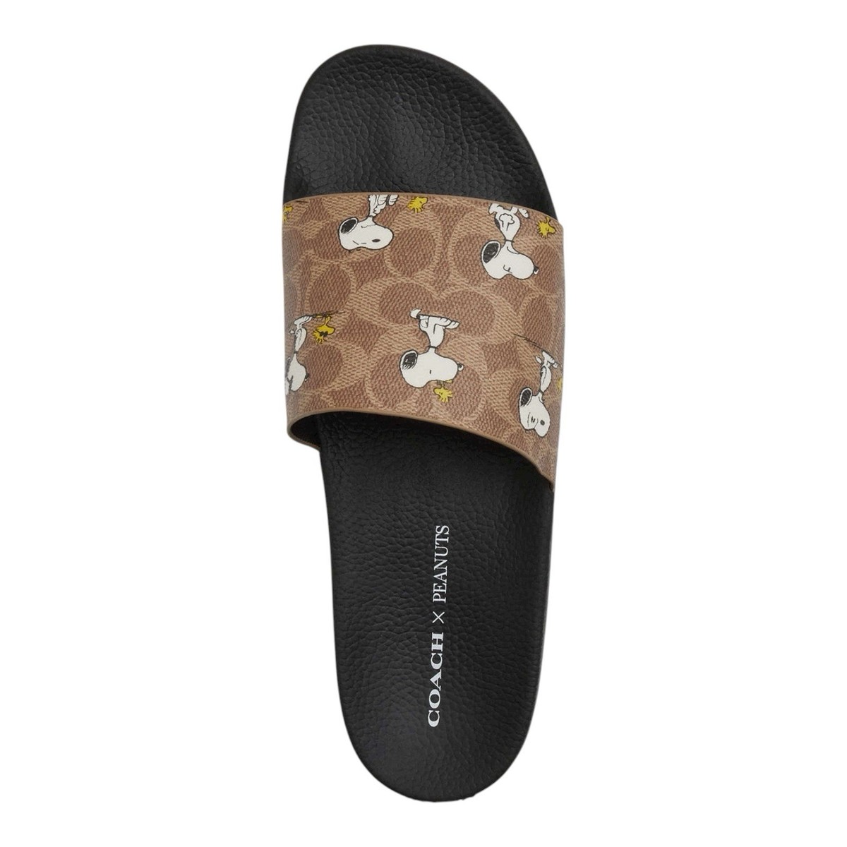コーチ コラボ スヌーピー サンダル 26cm サイズ8 コーチ コラボ スヌーピー サンダル 26cm サイズ8 COACH® Outlet