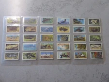 Brooke Bond PG Tips WILDLIFE IN DANGER Cards - Full Set of 50