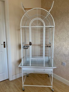 parrot cages ebay