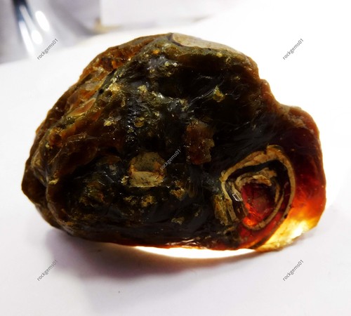 256 Ct Natural Honey Baltic Amber Untreated Certified Uncut Rough Loose Gemstone - Picture 2 of 5