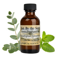 Eucalyptus Spearmint 2 Oz Fragrance Oil Diffuser FREE SHIPPING