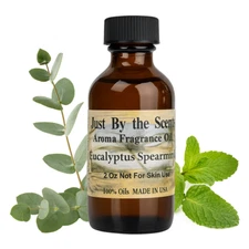 Eucalyptus Spearmint  2 Oz Fragrance Oil Diffuser FREE SHIPPING