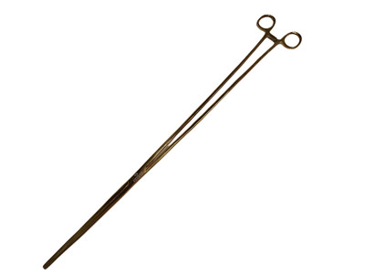 24'' (60cm) Gold Hemostat Forceps Bearded Dragon Crested Gecko Reptile Lizard ...