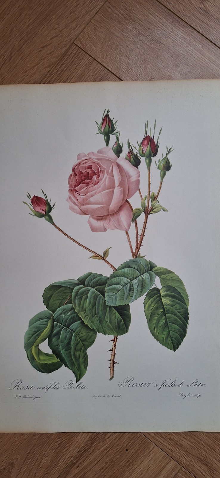 Picture 2