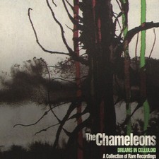 The Chameleons : Dreams in Celluloid: A Collection of Rare Recordings CD 2