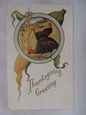 VINTAGE EMBOSSED THANKSGIVING POSTCARD TURKEYS IN FIELD W/CORNSTALKS 1908