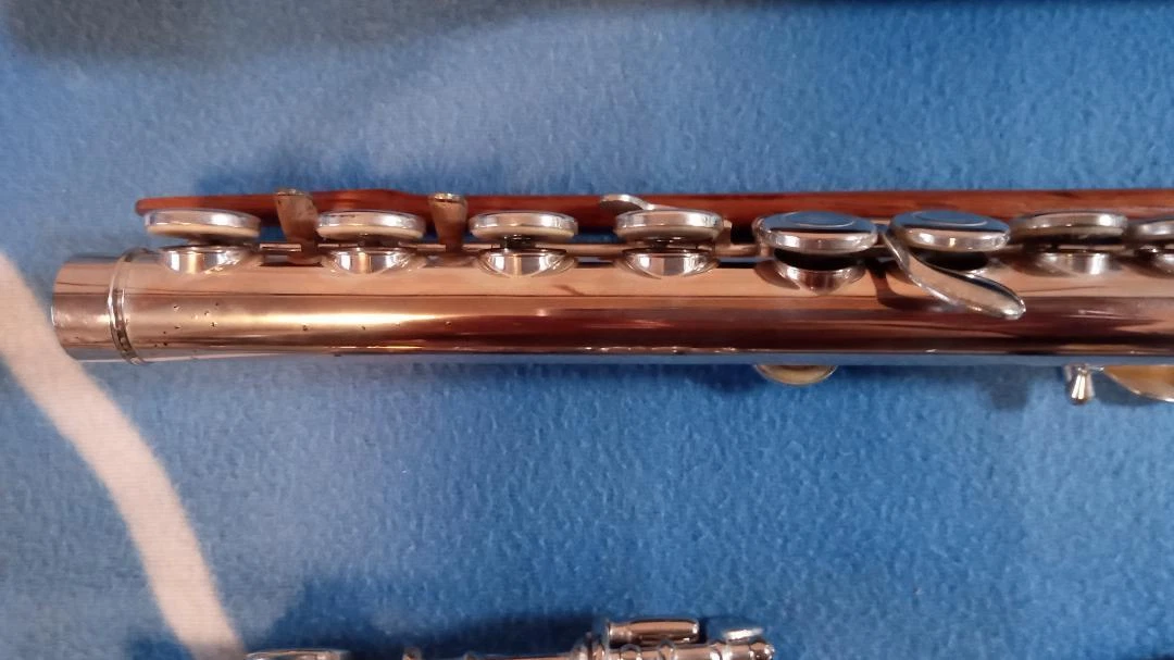 Flute Savarey | eBay