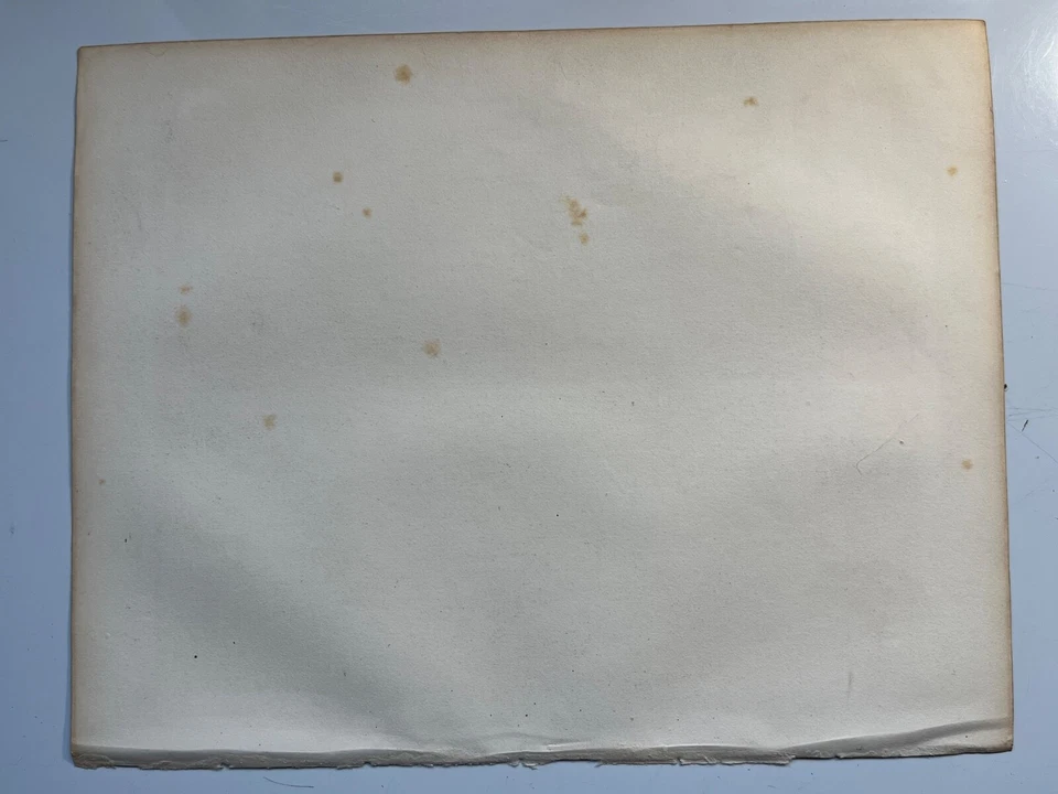 mapa antiguo de Norfolk 1848 grabado Thomas Moule Barclay's Dictionary Foto 4 de 4