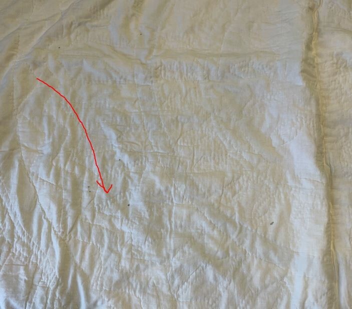 Vtg Arch Quilts Emsford NY Hand Stitched Patchwork Lace Pastel Rare 76