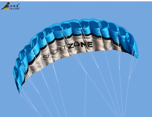 NEW 2.5m Dual Line Parafoil Parachute Stunt Sport Beach Outdoor Toys BLUE Kite - Bild 2 von 3