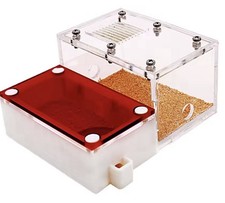 Top View Acrylic Nest For Carpenter, Field, Fire, Lasius Ant Colony Queen House