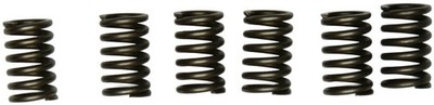 EBC CSK Clutch Spring Kit CSK131 for 02-14 KTM 690