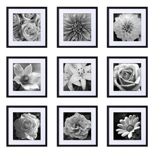 16x16 Picture Frames Set of 9 Classic Gallery Wall Frame Set, Displays 12x12 ...