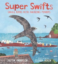 Super Swifts: Small Birds with Amazing Powers by Justin Anderson Hardcover Book