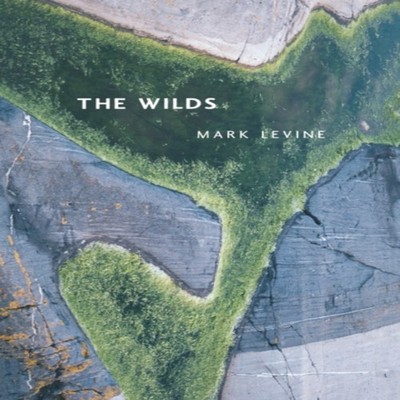Wilds Mark Levine Paperback University of California Press Poetry
