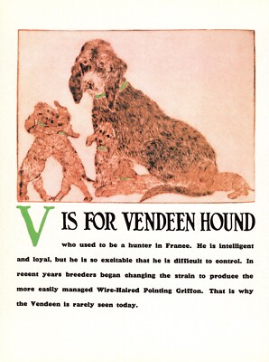 Vintage Grand Basset Griffon Print Letter V Alphabet ABC Print Vendeen 6759n