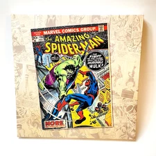 The Amazing Spider man Fights the Incredible Hulk Canvas Wall Art 12” x 12" x 1"