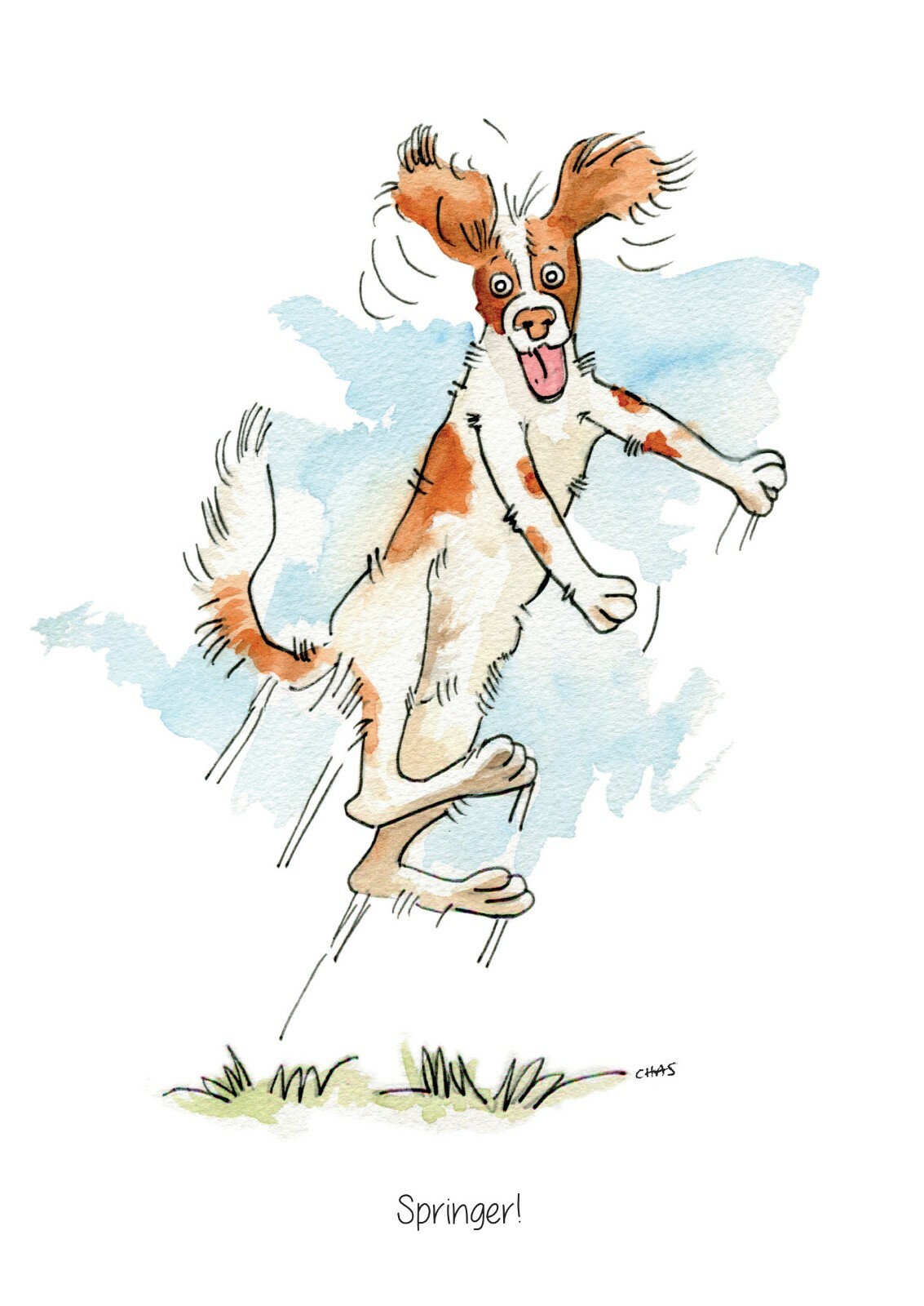""Springer Spaniel"" dog A5 high quality Greeting Card & envelope - blank inside