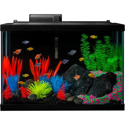 20 Gallon Aquarium Kit with LED Lighting, Heater, and Filter System