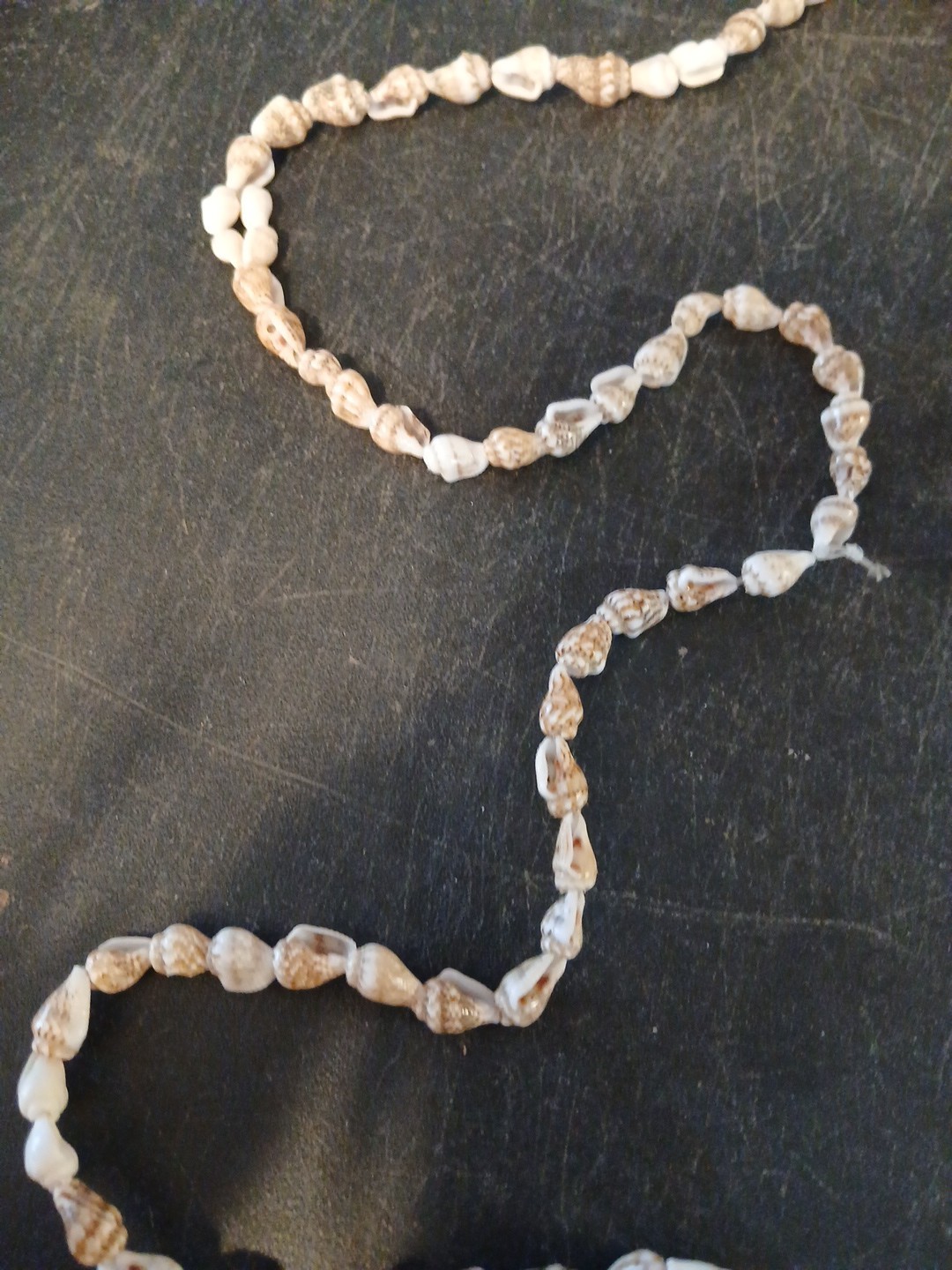 Cute Tiny Conch Shell Necklace - image 5
