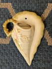 🔥 VINTAGE HULL POTTERY WALL POCKET PLANTER WOODLAND PATTERN CONCH SHELL SIGNED