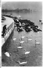 APGP11-0741-74 - ANNECY - Pedalo Dock And Swans