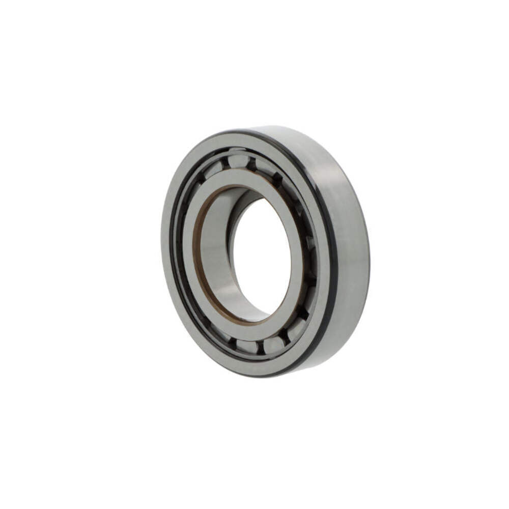 Cuscinetto a rulli cilindrici BC1-0312 25x52x15